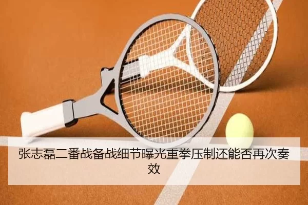 张志磊二番战备战细节曝光重拳压制还能否再次奏效