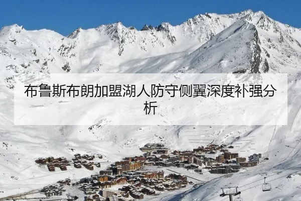 布鲁斯布朗加盟湖人防守侧翼深度补强分析