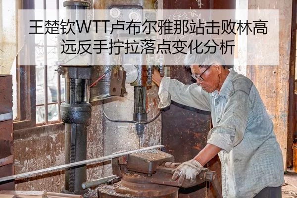 王楚钦WTT卢布尔雅那站击败林高远反手拧拉落点变化分析